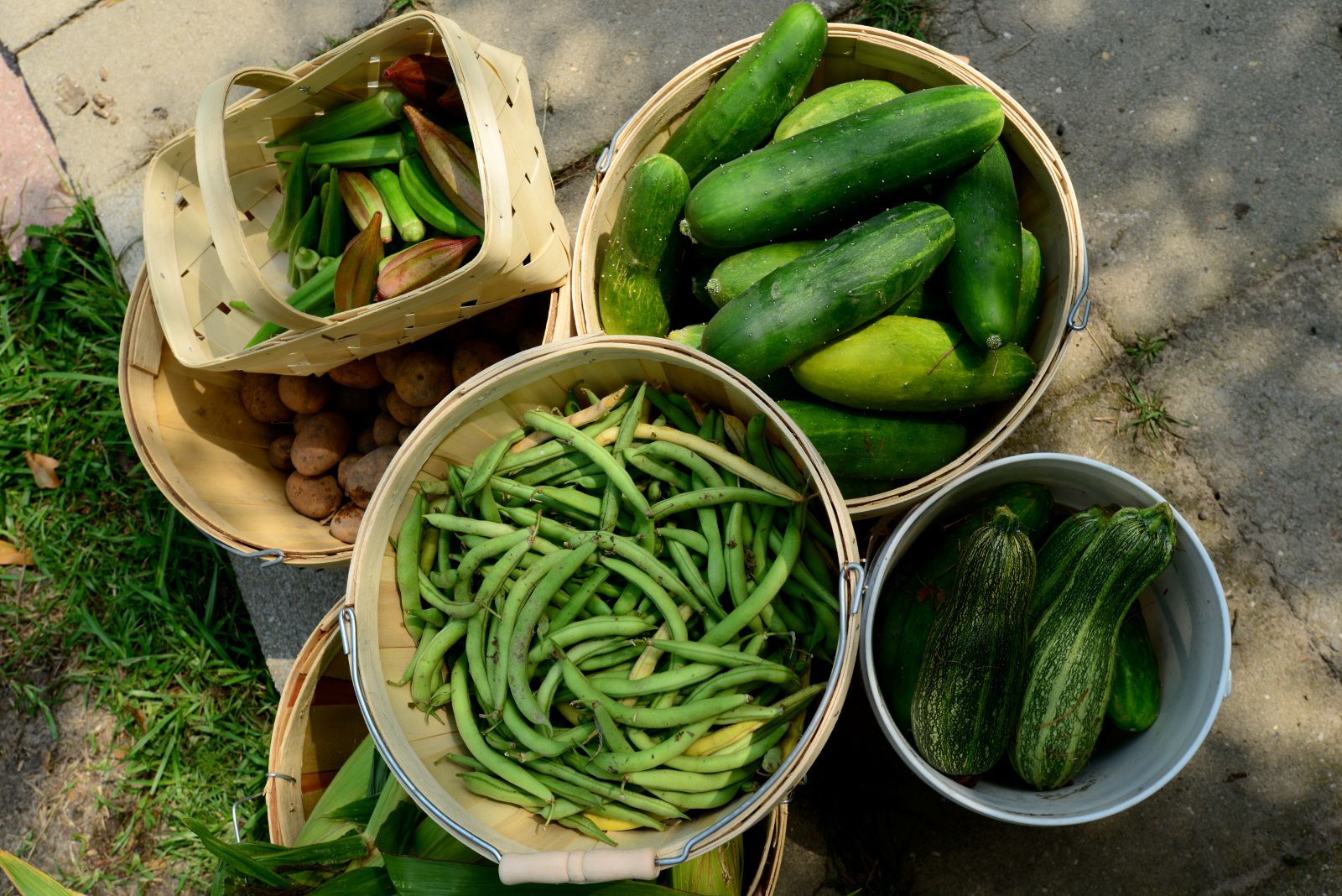 baskets of organic produce